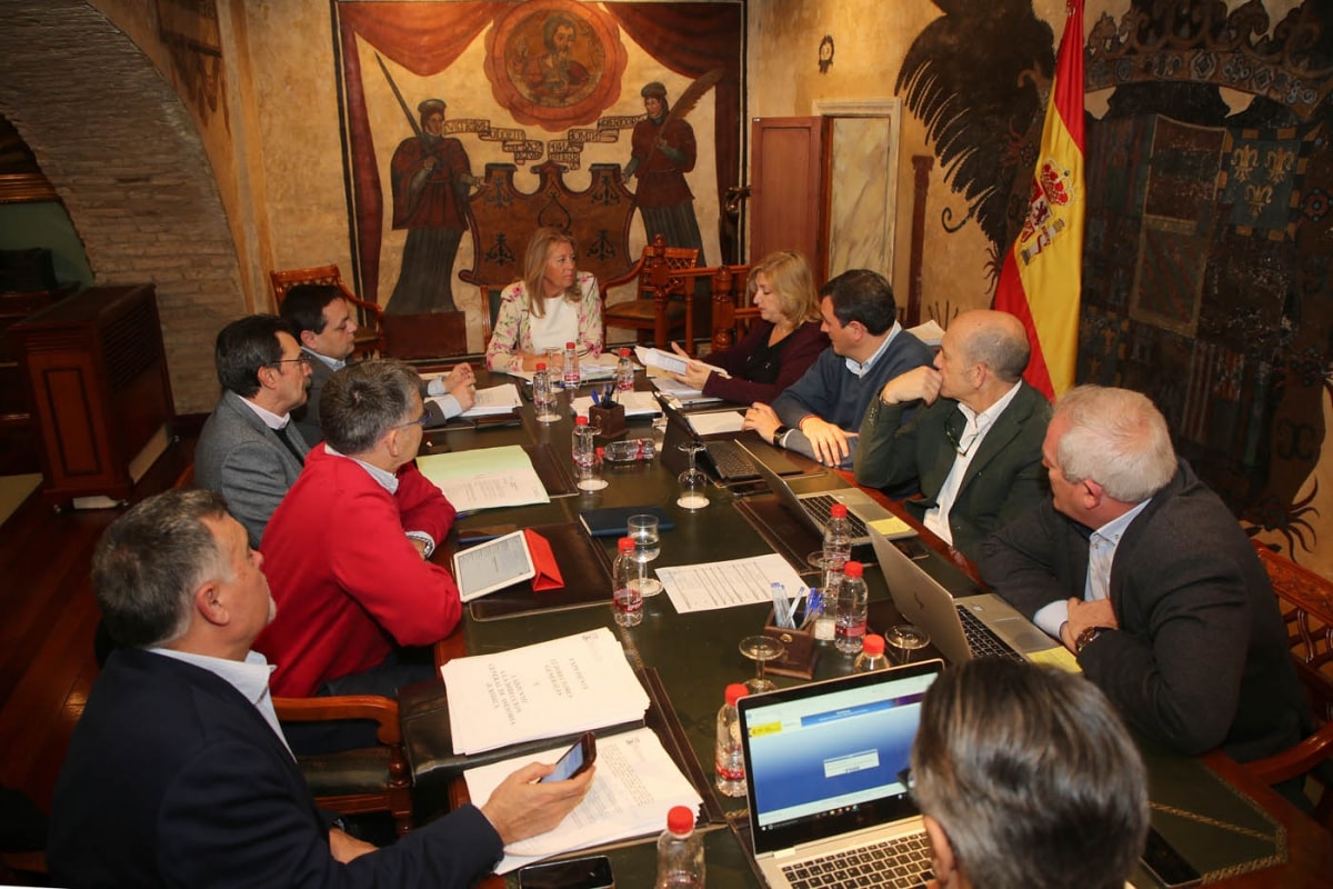 El Ayuntamiento alegará contra el anteproyecto de Ley para un Urbanismo Sostenible de la Junta de Andalucía “que es perjudicial para Marbella”