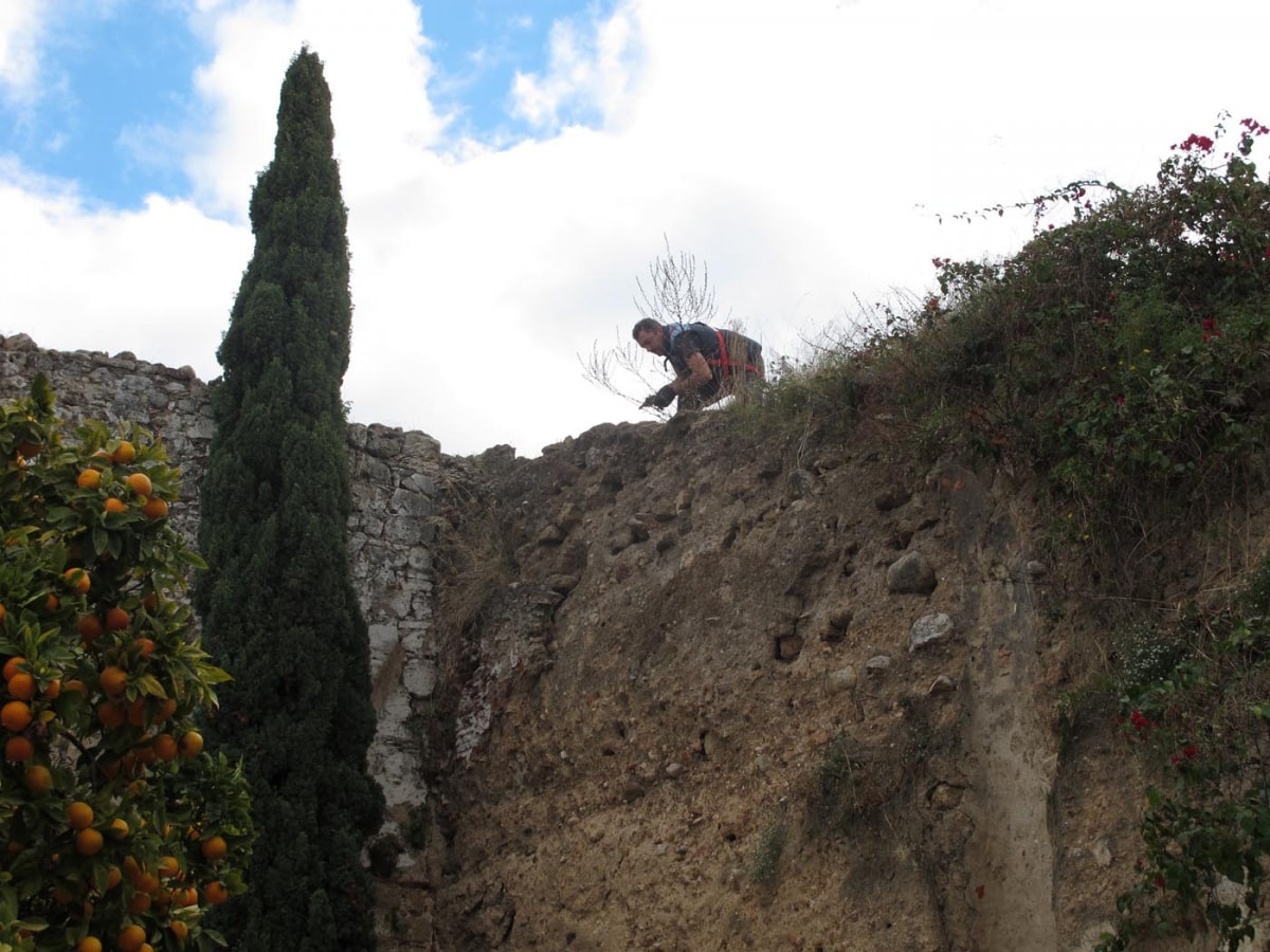 El Ayuntamiento realiza trabajos de limpieza de vegetación en la muralla del Castillo de Marbella