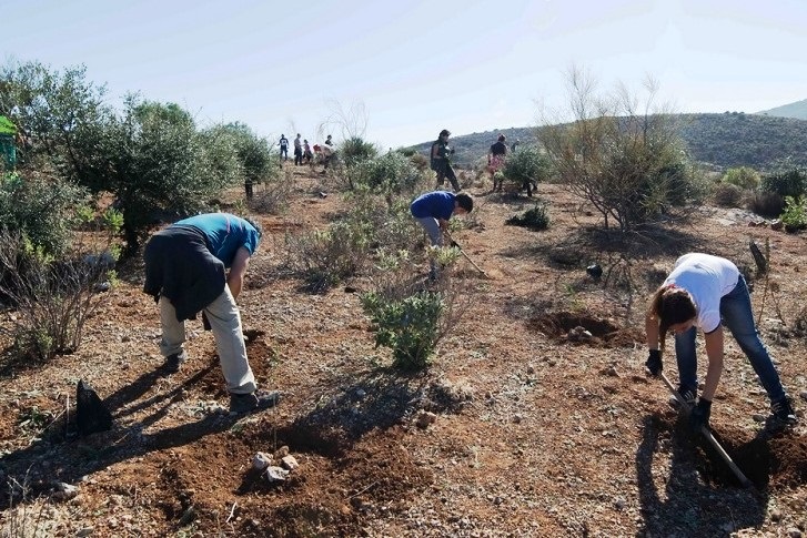 La FEMP premia el proyecto ‘Un millón de árboles’ de Diputación